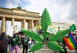 legalização da maconha