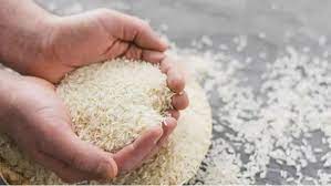 imagem dos grãos de arroz para falar sobre o leilão de arroz