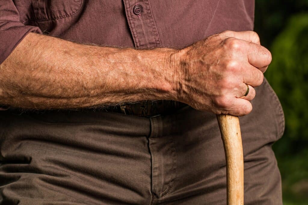 ALERTA: Aumento Drástico da Violência Contra Idosos (Fonte: Pixabay)