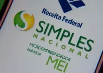 Evite multas e problemas fiscais: Entenda a Declaração Anual do MEI (Fonte: Agência SEBRAE)