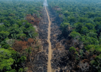 Brasil pode se tornar inabitável em 50 anos!