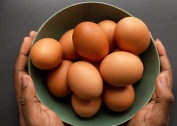 Desvende o poder nutricional dos ovos e descubra por que eles são uma escolha saudável para a sua dieta