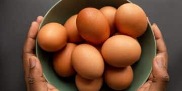 Desvende o poder nutricional dos ovos e descubra por que eles são uma escolha saudável para a sua dieta
