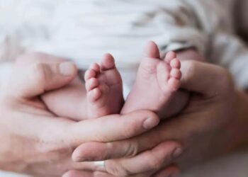 Não perca seu direito a benefícios sociais e previdenciários