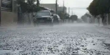 previsão do tempo