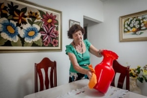 Donas de casa