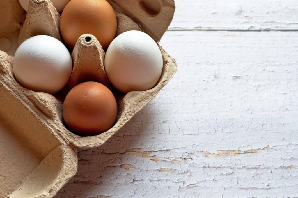 ECONOMIA NO BOLSO: Veja quais alimentos podem ter imposto zero com a reforma tributária (Fonte: Pixabay)