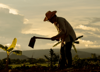 aposentadoria rural direitos