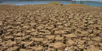 Seca no Brasil