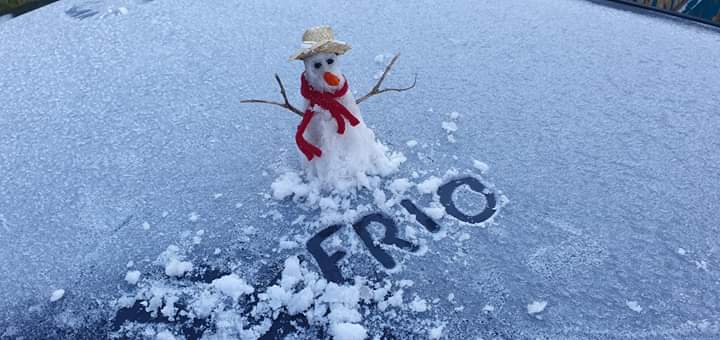 frio