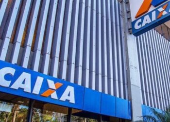 Saiba tudo sobre as cotas do PIS/Pasep