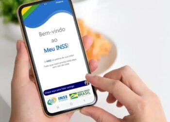 Saiba como consultar seu extrato do INSS e entender os benefícios oferecidos