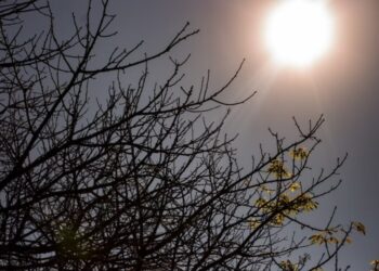 Agosto de 2024 trará ondas de calor e baixa umidade para o Centro-Oeste e Norte do Brasil