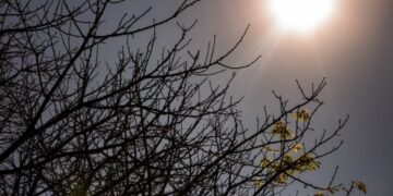 Agosto de 2024 trará ondas de calor e baixa umidade para o Centro-Oeste e Norte do Brasil