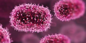 Estudo revela que tecovirimat não diminui lesões de mpox, mas reduz mortalidade. Descubra mais sobre a pesquisa e os próximos passos.
