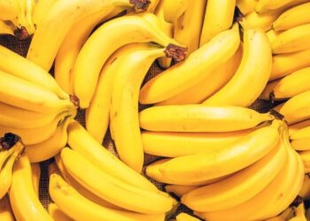 Descubra os benefícios da banana para a saúde, desde a melhoria da digestão até à redução do risco de doenças cardíacas