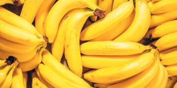 Descubra os benefícios da banana para a saúde, desde a melhoria da digestão até à redução do risco de doenças cardíacas