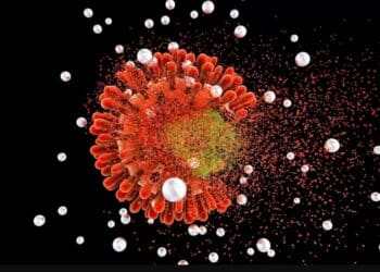Descoberta de variante recombinante do HIV levanta questões sobre evolução viral e exige vigilância contínua
