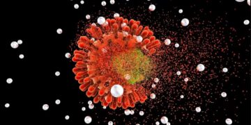 Descoberta de variante recombinante do HIV levanta questões sobre evolução viral e exige vigilância contínua