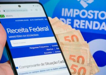 Imposto de Renda 2024: Consulta Aberta para o 5º Lote de Restituição