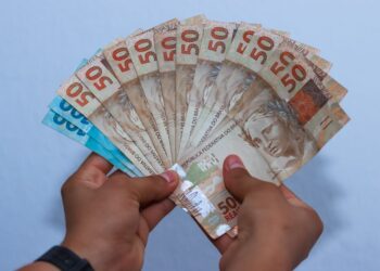 Previsões do Salário Mínimo para os Próximos Anos