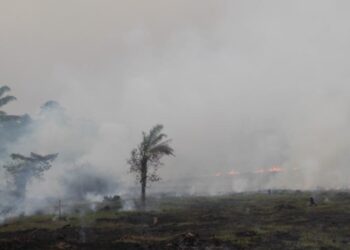 Fumaça proveniente das queimadas na Amazônia deve atingir o Sul do Rio Grande do Sul, deixando o céu acinzentado e impactando a qualidade do ar