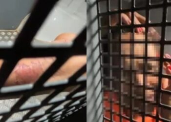 Caso de violência doméstica choca a região metropolitana de BH. Mulher mata companheiro após agressões! Saiba mais aqui!