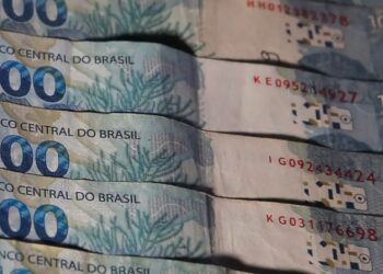 O que esperar do reajuste salarial anunciado pelo governo brasileiro para 2025? Entenda as implicações para o consumo, inflação e emprego