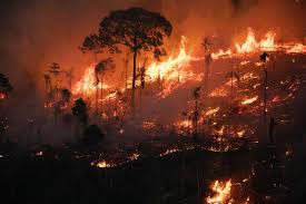 Incêndios Florestais no Brasil em setembro de 2024