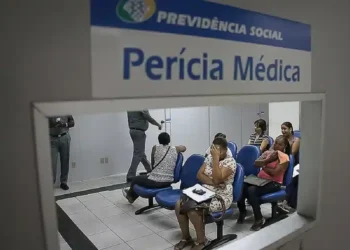 Pente-fino INSS