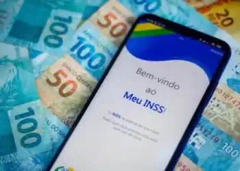 13 salário INSS novembro