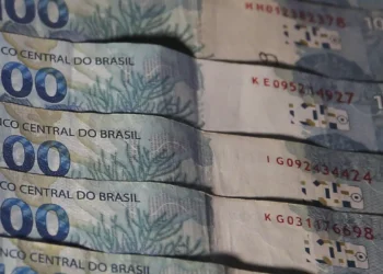 salário mínimo, economia, regras de correção, PIB, INPC