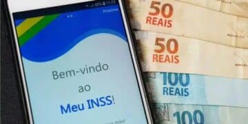 INSS ANUNCIA PAGAMENTO do 13º SALÁRIO em COTA ÚNICA (Fonte: Seu Crédito Digital).