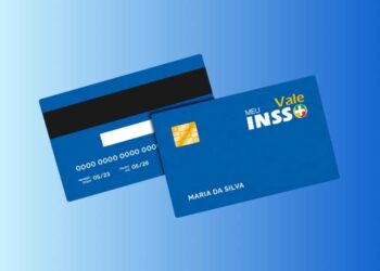 meu inss vale+