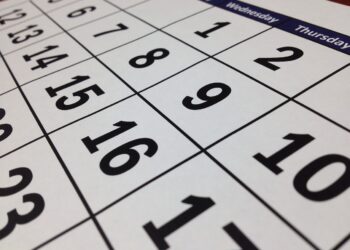 Calendário de feriados e pontos facultativos 2025. Foto: FDR