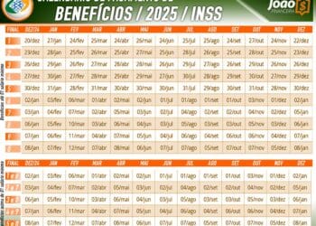 Calendário de Pagamentos do INSS para 2025. Foto: JornalJF