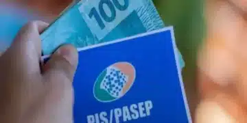 Importância de Consultar o Saldo do PIS/PASEP. Foto: diariooficialnoticias.com.br