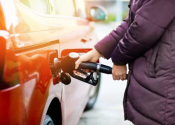 Irina Wilhauk/Shutterstock.com