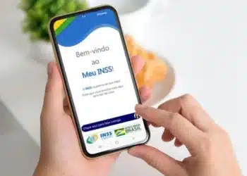 meu inss