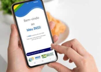 meu inss