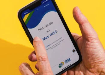 meu inss