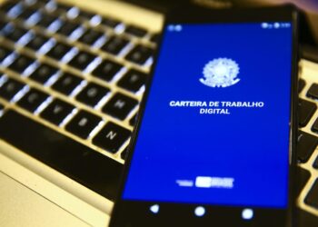 carteira de trabalho digital aberta em smartphone