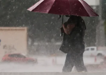 foto de uma pessoa com guarda chuva aberto na chuva, com carros passando atras