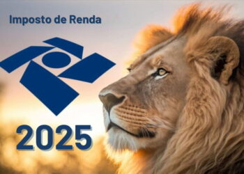 Entenda tudo o que há de novo no imposto de renda em 2025!