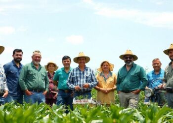 agricultores-celebram-aprovacao-de-ajuda-de-r--por-perdas-em-plantacoes-devido-a-seca-e-chuvas