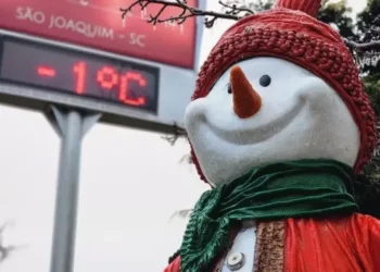 boneco de neve
