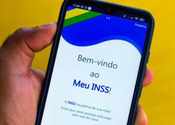 meu inss