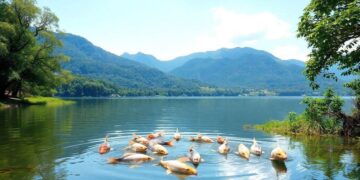 seguro-defeso--tudo-que-voce-precisa-saber-sobre-quem-tem-direito-e-como-solicitar