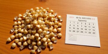 abono-salarial-de-agosto-comeca-dia-