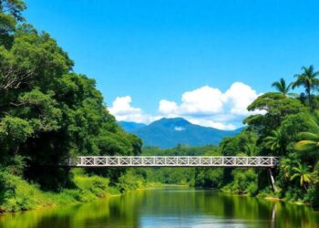 confira-se-voce-esta-entre-os--mil-selecionados-para-obter-a-cnh-gratuita-no-amazonas